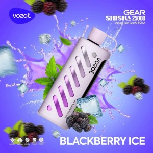 Vozol 25.000 Puff Blackberry Ice