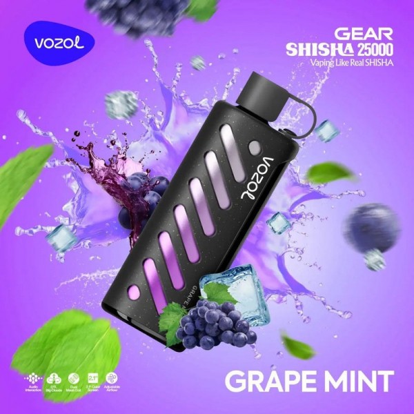Vozol 25.000 Puff Grape Mint 
